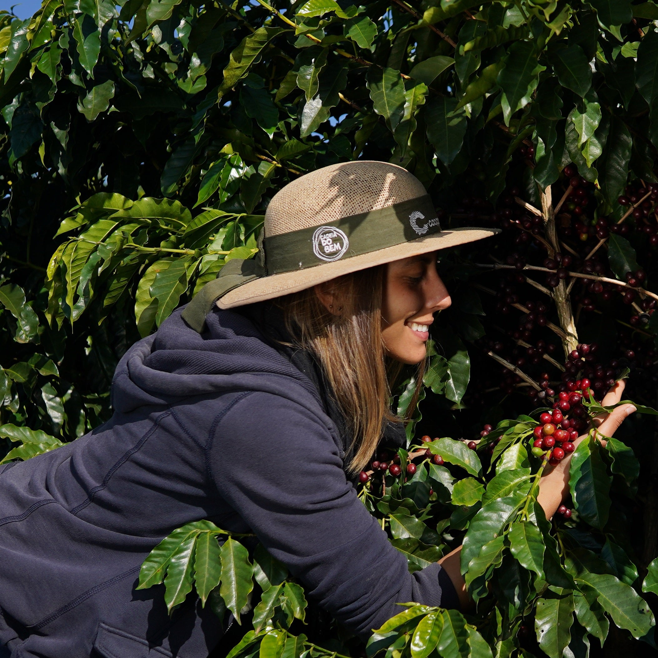 Moka da Dani (Safra 2025) – Kodama Coffee Lab